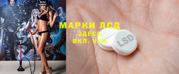 прущие грибы Горнозаводск