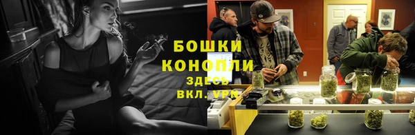 прущие грибы Горнозаводск