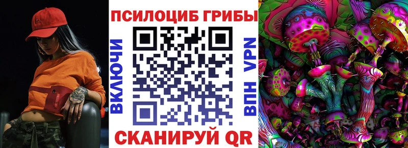 Галлюциногенные грибы мицелий  Купить  Камызяк 